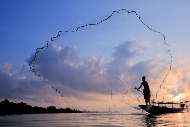 你吃的生魚片是真鮪嗎？app幫你查明正身