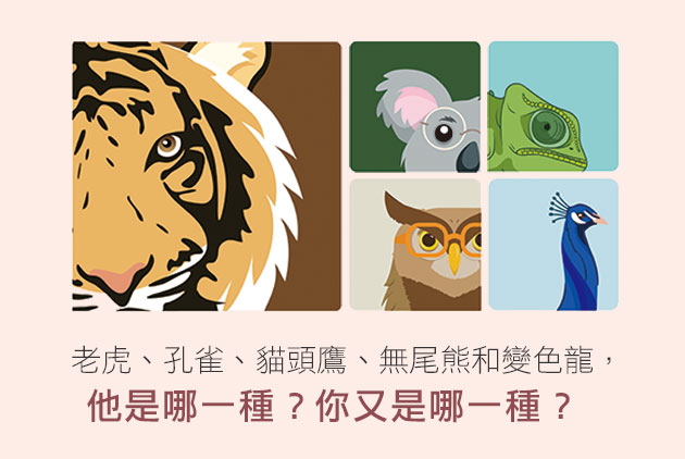 創業-溝通-張曼琳-PDP-人格特質