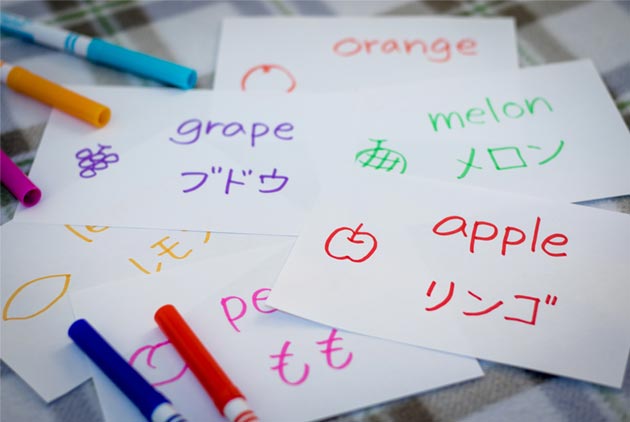雙語-英語-大腦