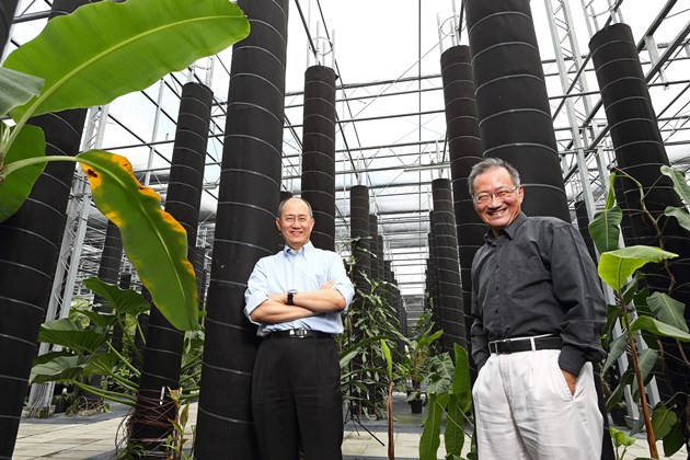全球最大熱帶植物保種中心在台灣　邀你一起守護植物