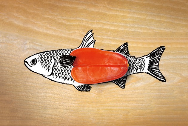 慢魚運動Ⅰ：你吃的海鮮，都從中國來？