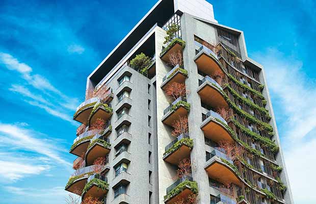 在天空種樹，你家就是森林｜天下雜誌