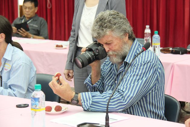 台灣荔枝征服「澳客」　年底移民南半球
