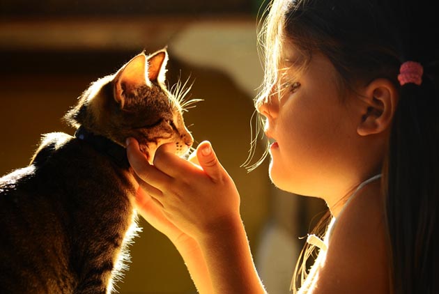 陳玉敏：動物，可以是你的「臉友」嗎？
