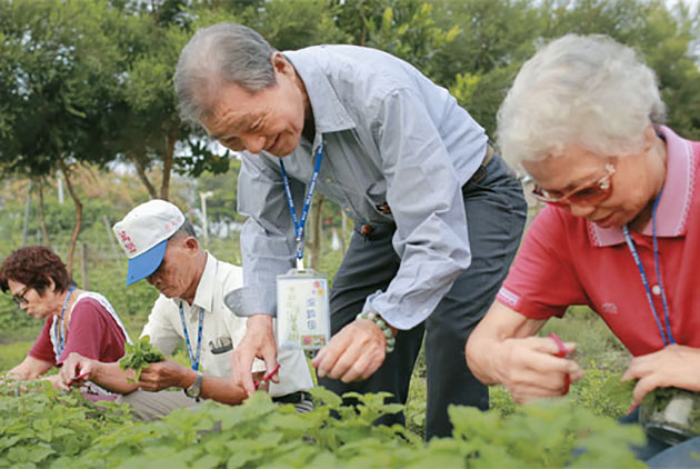 孤獨浪潮襲擊，台灣怎麼擋？