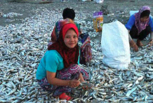 群組瘋傳海嘯將至　印尼魚急跳上岸　真相其實是……