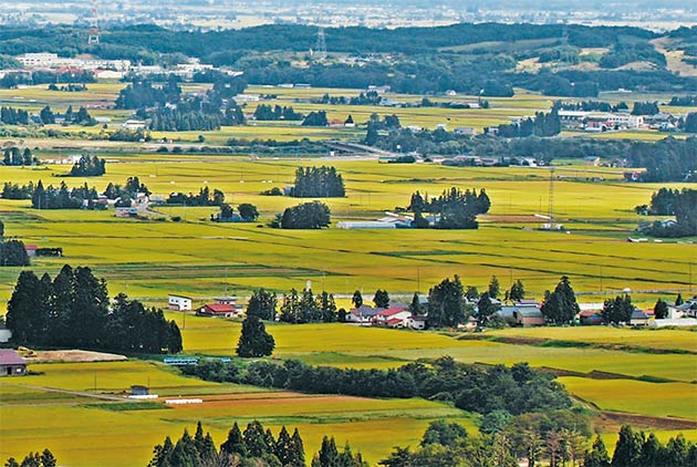 山形縣飯豐町　到日本最美的田園住一晚