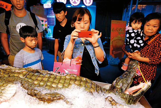 路邊攤-鱷魚養殖-鮑魚-魚翅-夜市-中國市場