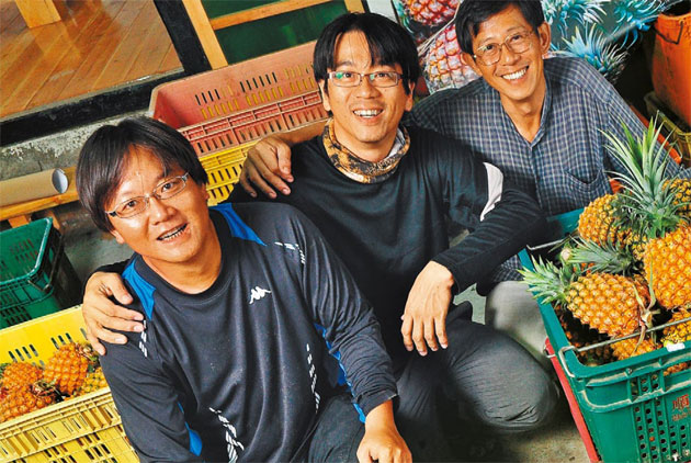鳳梨三劍客  種出快樂金鑽