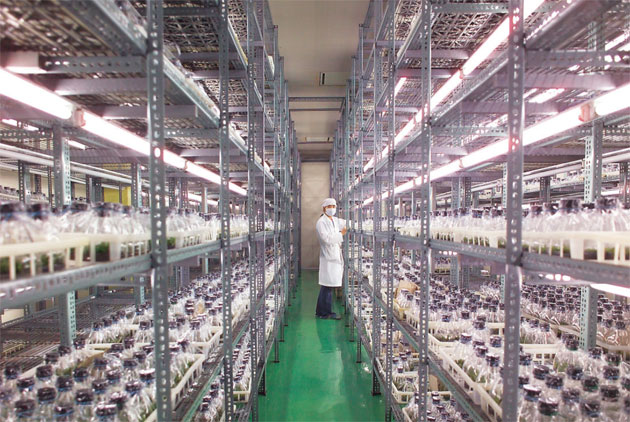 百億基金　力推農業科技