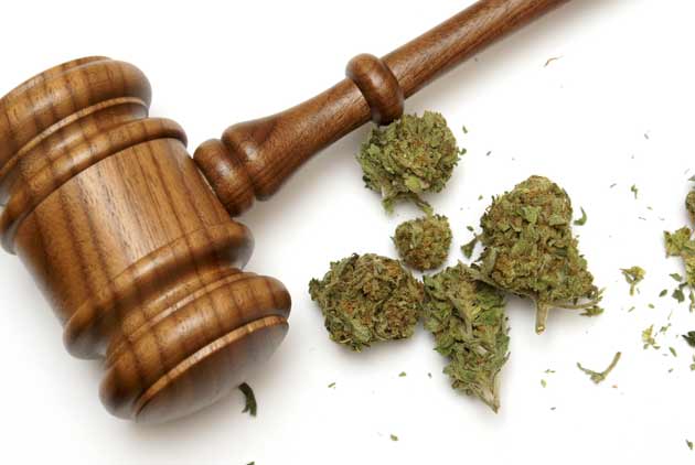 加拿大人現在可以抽、也可以吃藥用大麻
