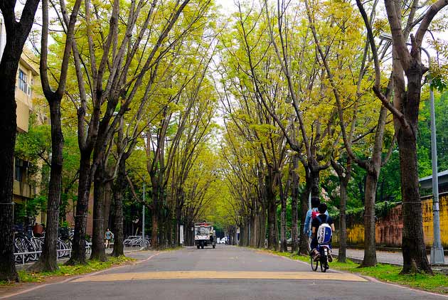 大學裡的「領導學程」學些什麼？
