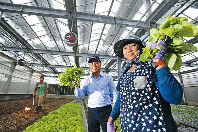 「蟀哥」、「電農」　光電農業玩真的