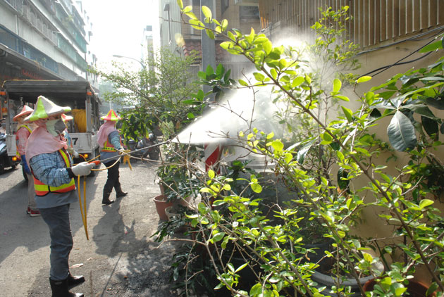 颱風過境 預防登革熱  請你這麼做
