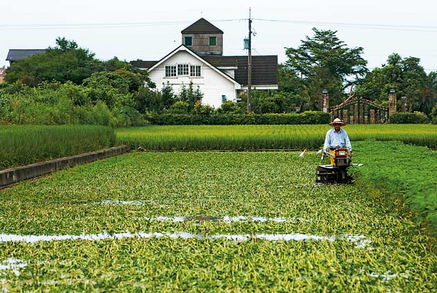 除了杜絕豪華農舍　農地炒作如何解？