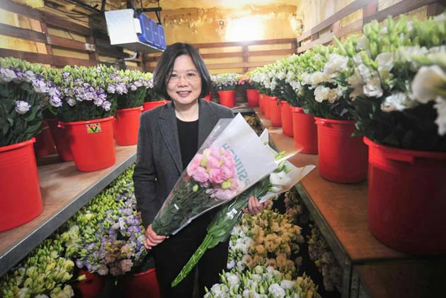 嘉義洋桔梗　跨海開花　綻放億元商機