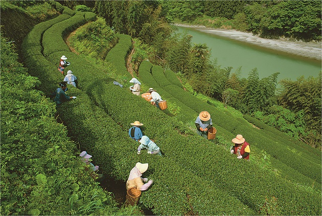 創新-台灣農業-台肥-研發-微生物-紮根-經濟發展-健康生活