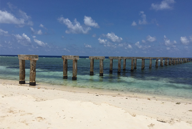 觀音、羊群、流浪狗　美圖看透太平島