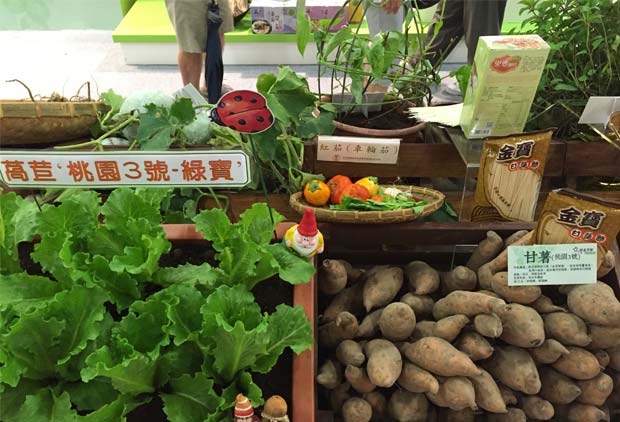 美食展