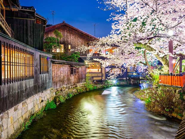 城市