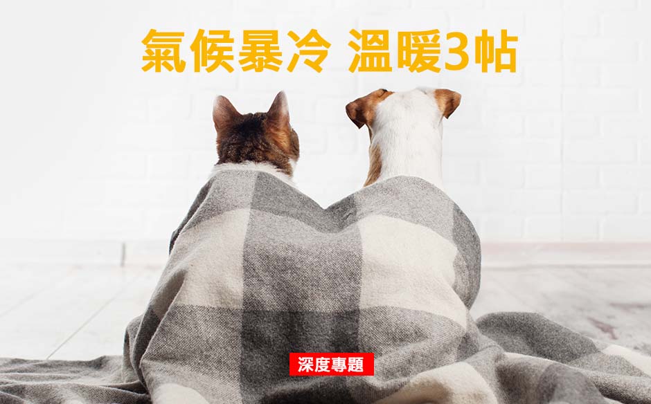  氣候暴冷 溫暖3帖