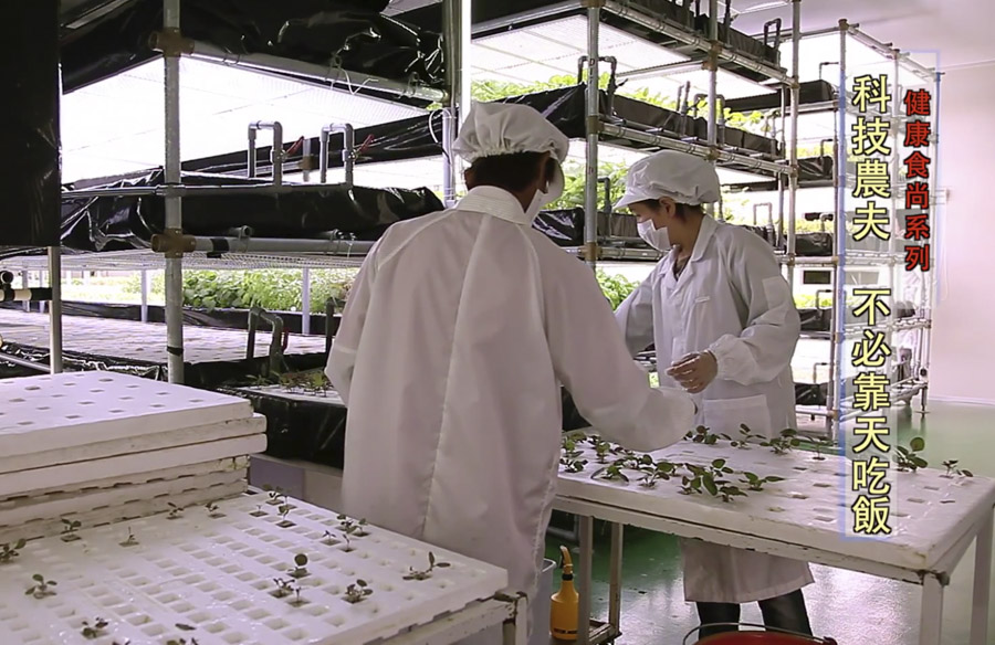 植物工廠：扮演上帝之手｜政經趨勢｜天下雜誌video