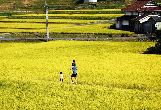 日本經驗這樣做：也來組建一支全國性的「地方創生隊」吧！