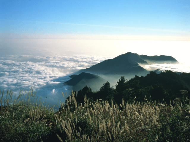 離開都市走入中海拔山林，雲海景觀是珍貴的台灣「療癒」資產。