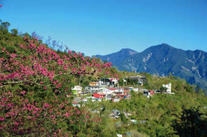 真正的生態旅遊，只存在台灣不多的地方。圖為生態旅遊模範生－屏東阿禮，緋寒櫻盛開時遠眺下部落。