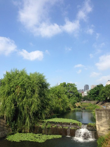 暫獲保留的黎明主溝，後方高樓為臺中市七期重劃區。