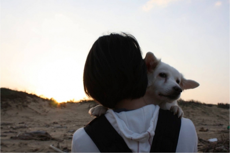 許多「愛心媽媽（人士）」因為不忍而踏入流浪犬貓的收容救援，耗盡積蓄、失去歡顏，甚至失去對人的信任。
