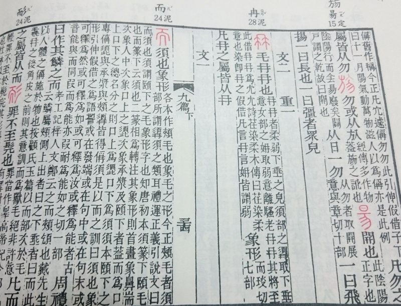「冉」字的解釋。