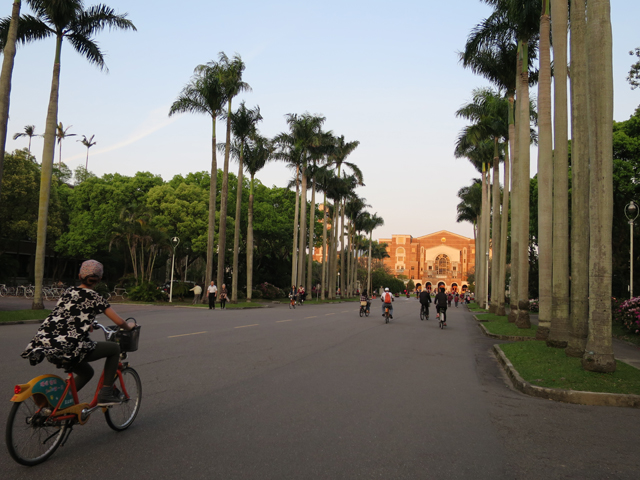 台大校園。